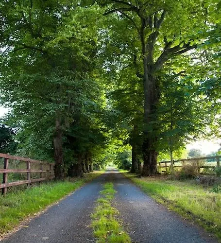 Apple -- Luxury At Bellingham Estate