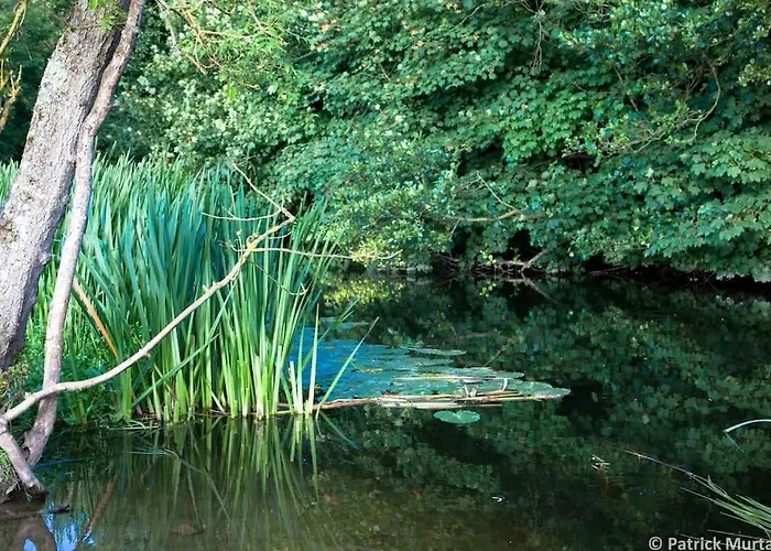 Apple -- Luxury At Bellingham Estate