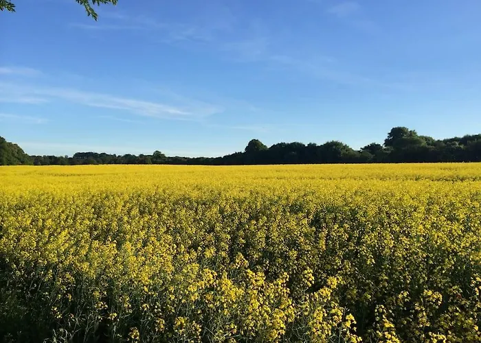 Apple -- Luxury At Bellingham Estate Дом отдыха